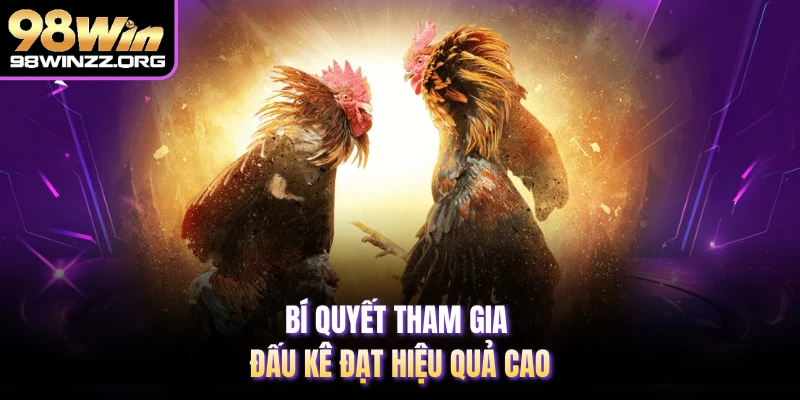 Bí quyết tham gia đấu kê đạt hiệu quả cao