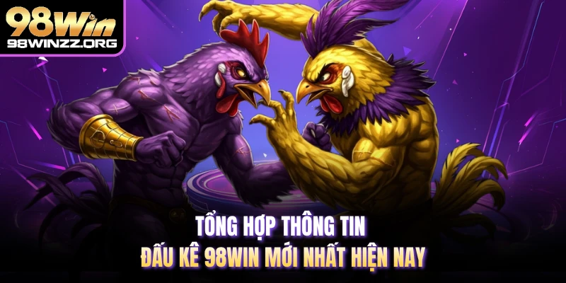 Tổng hợp thông tin đấu kê 98WIN mới nhất hiện nay