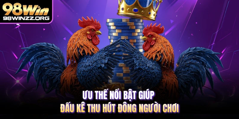 Ưu thế nổi bật giúp đấu kê thu hút đông người chơi