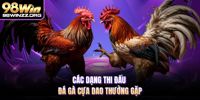 Các dạng thi đấu đá gà cựa dao thường gặp 