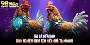 Đá Gà Cựa Dao - Kinh Nghiệm Xem Kèo Hiệu Quả Tại 98WIN