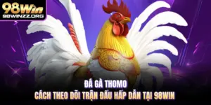 Đá Gà Thomo - Cách Theo Dõi Trận Đấu Hấp Dẫn Tại 98WIN