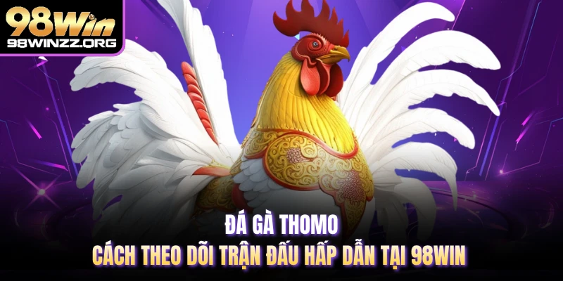 Đá Gà Thomo - Cách Theo Dõi Trận Đấu Hấp Dẫn Tại 98WIN